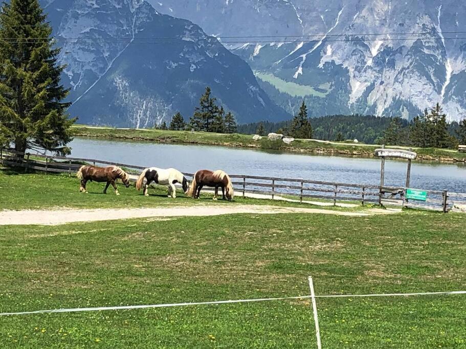 Sonniges Apartment In Seefeld Seefeld in Tirol Extérieur photo